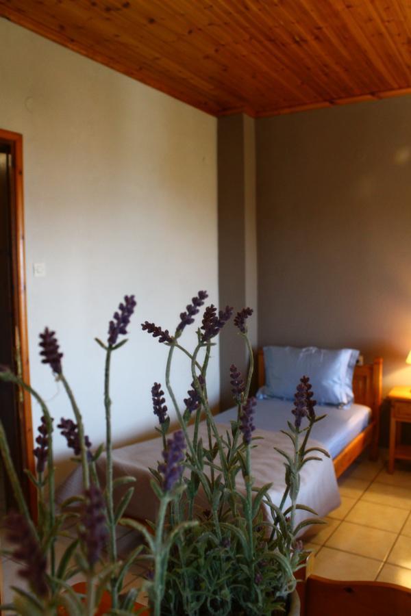 Hotel Defkalion Volos Buitenkant foto